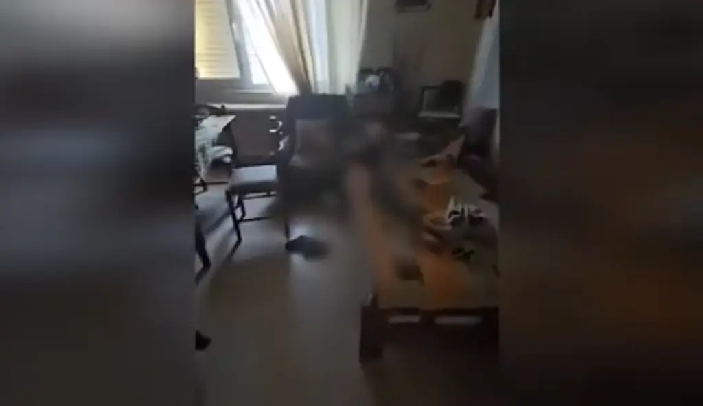 Η συγκλονιστική στιγμή που άνδρας βρίσκει την εγκλωβισμένη μητέρα του στον Παλαμά Καρδίτσας – “Πού είσαι αγόρι μου;”