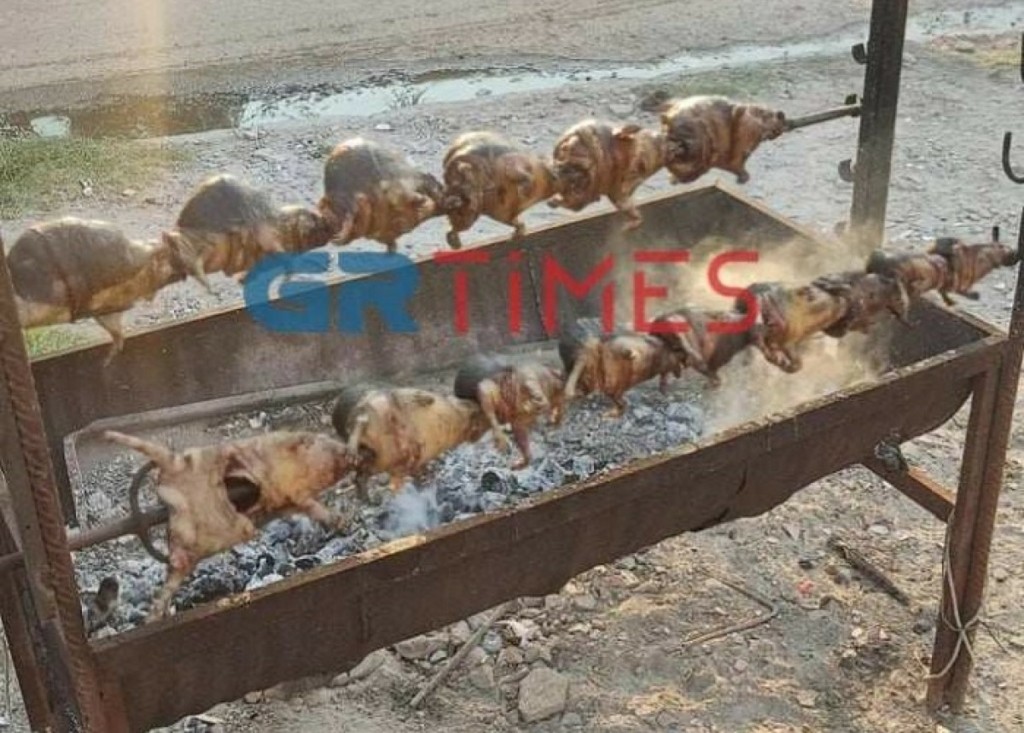 Σούβλιζε σκαντζόχοιρους για… μπάρμπεκιου και ανέβαζε φωτογραφίες στο facebook