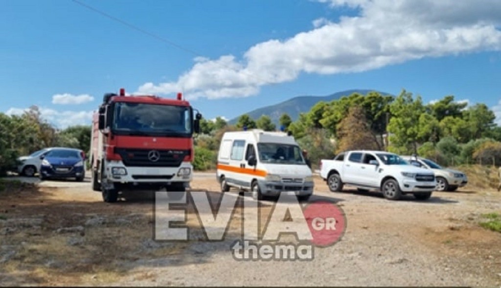 Συναγερμός στην Εύβοια – Εντοπίστηκαν πυρομαχικά