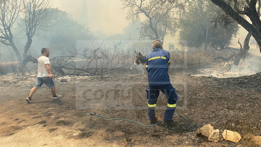 Φωτιά στην Κέρκυρα – Τέθηκε γρήγορα υπό έλεγχο