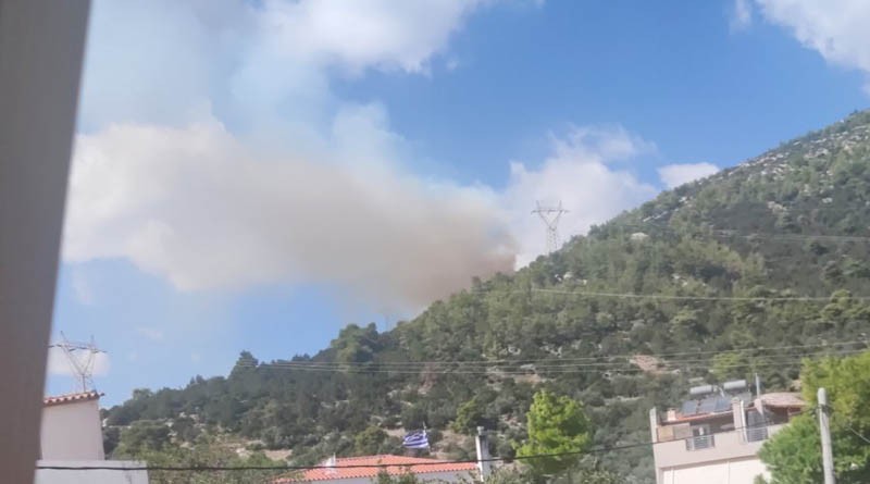 Νέα Μάκρη: Προφυλακίστηκαν η 50χρονη μητέρα και ο ανήλικος γιος – Ελεύθερος ο 61χρονος ορθοπεδικός
