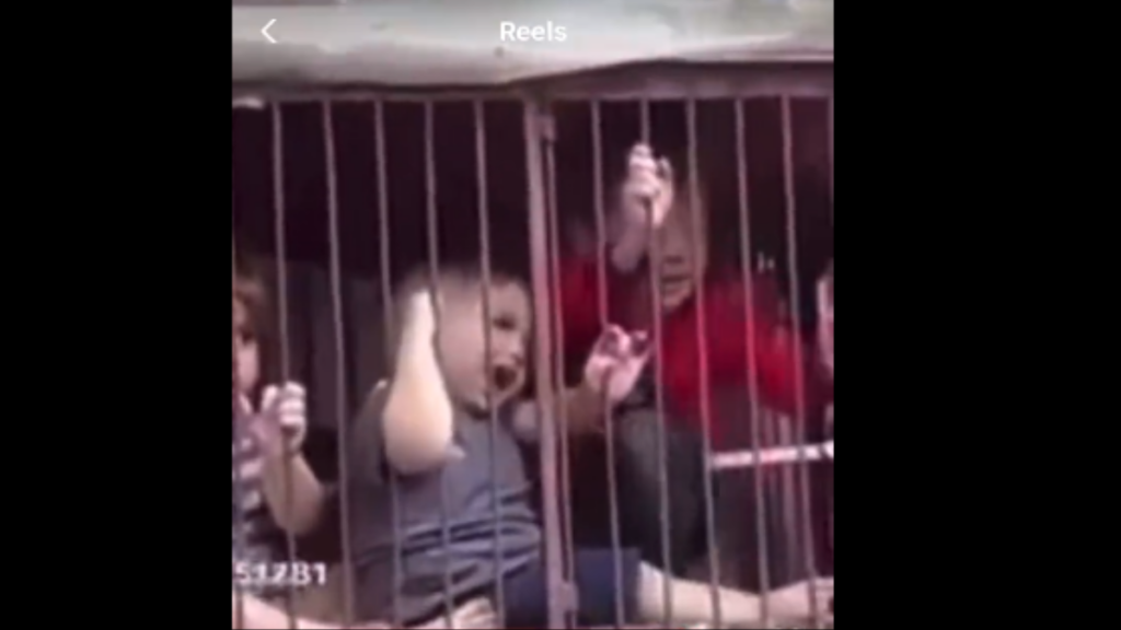 Πόλεμος στο Ισραήλ: Κλείνουν παιδιά σε κλουβιά με κότες (vid)