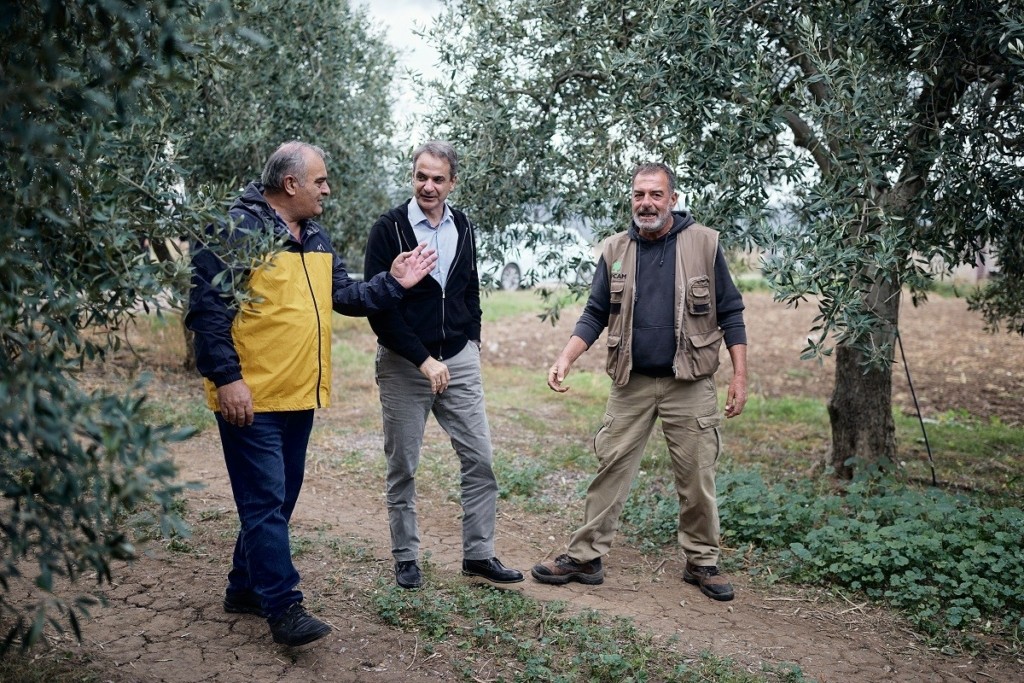 Σε ελαιώνα στην Αταλάντη ο Μητσοτάκης