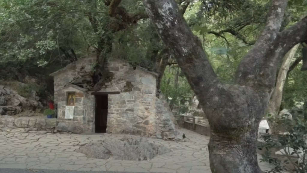 Αγία Θεοδώρα – Δείτε εικόνες από το εκκλησάκι με τα 17 δέντρα στη σκεπή που μπήκε στο βιβλίο Γκίνες
