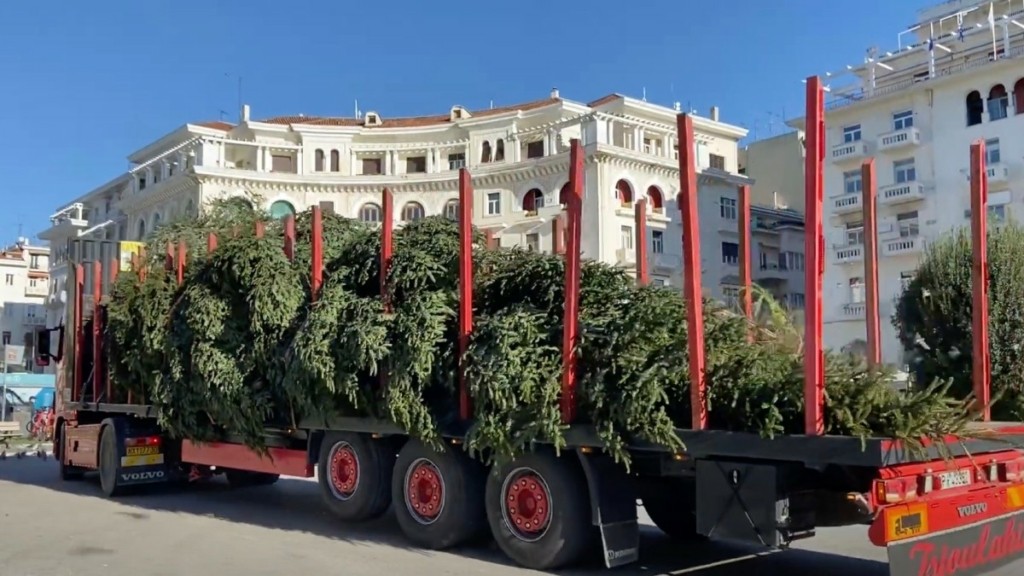 Θεσσαλονίκη: Έφτασε στην πλατεία Αριστοτέλους το χριστουγεννιάτικο δέντρο