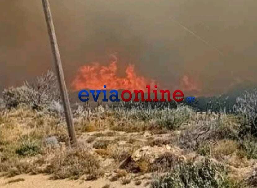 Φωτιά στην Κάρυστο: «Υπάρχουν δεκάδες νεκρά ζώα, έχουν καεί μαντριά»
