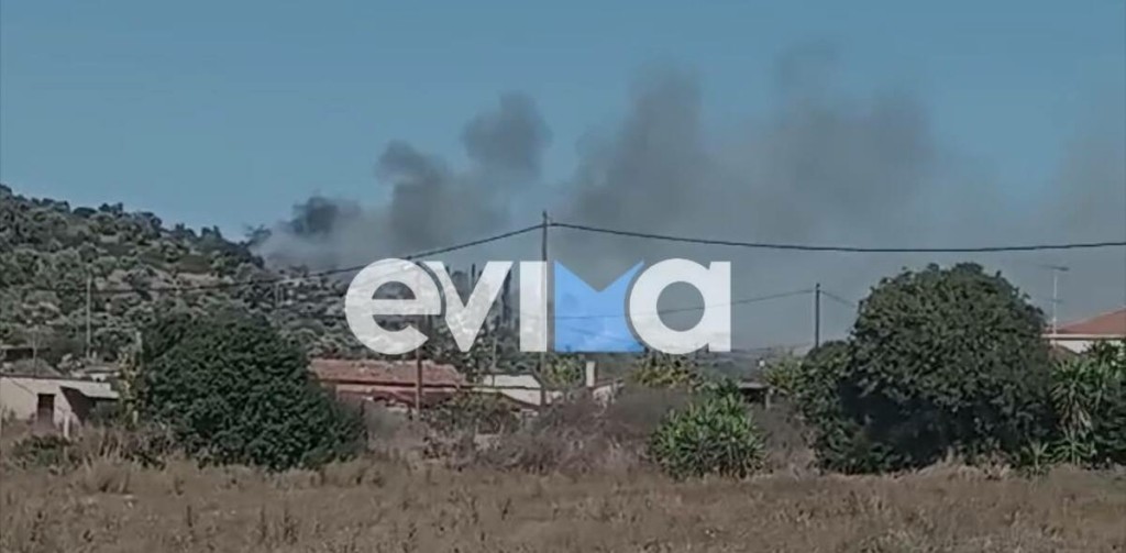 Φωτιά στην Εύβοια: Σύλληψη άνδρα που ομολόγησε ότι προσπαθούσε να κάψει κλαδιά