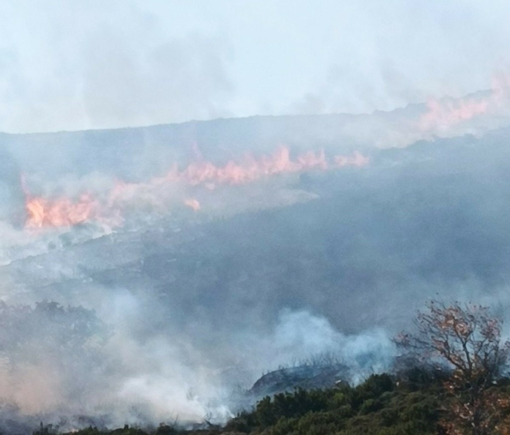 Φωτιά σε Χανιά και Ηράκλειο – Συναγερμός στην Πυροσβεστική