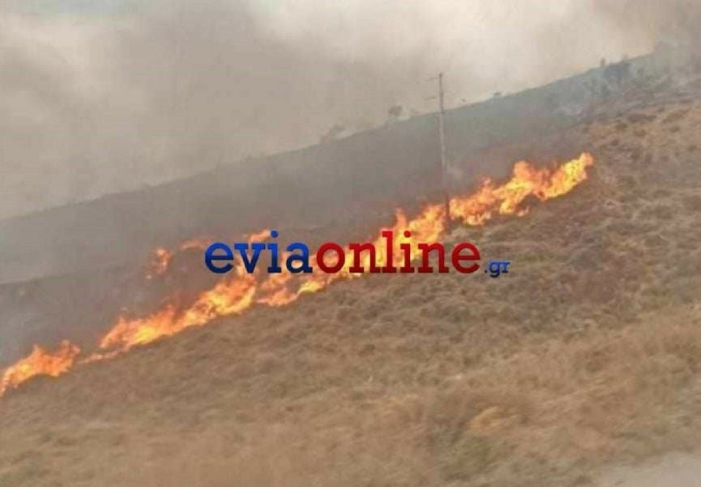 Φωτιά στην Κάρυστο – Σε ύφεση μετά την ολονύχτια μάχη