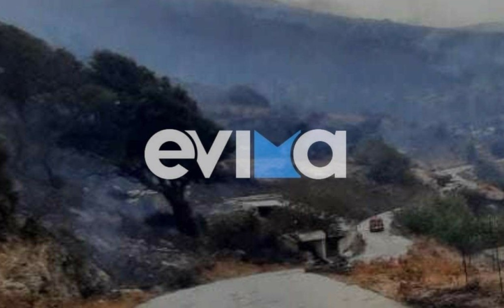 Φωτιά στην Κάρυστο: Εκκενώθηκαν τα χωριά Αμυγδαλιά και Πρινιά – Απειλούνται σπίτια και στάβλοι