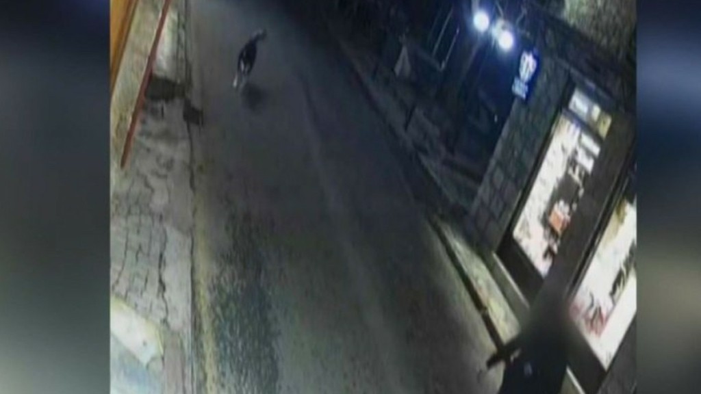Αράχωβα: Φωτογραφία ντοκουμέντο του Όλιβερ πριν δεχτεί επίθεση