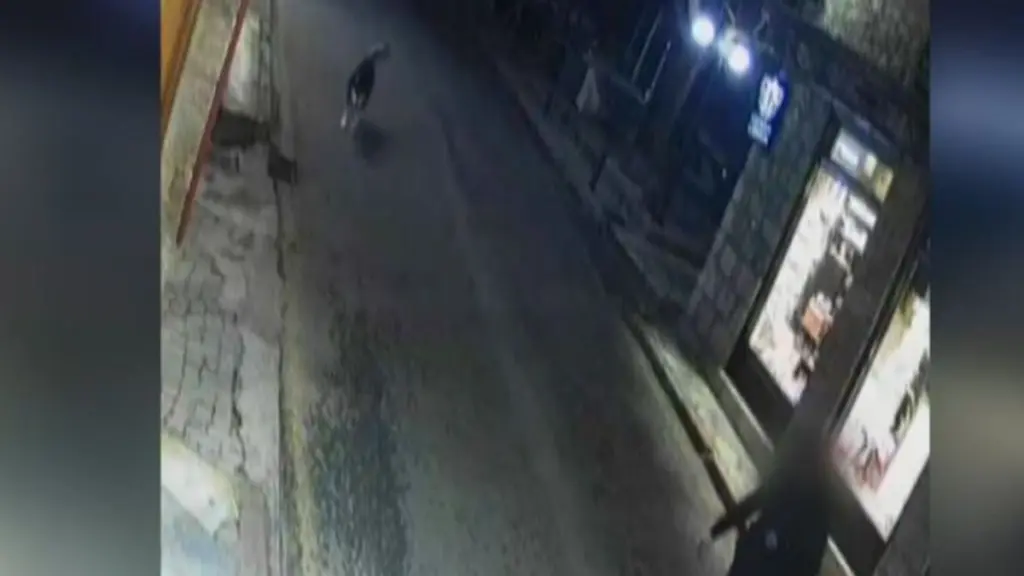 Αράχωβα: Φωτογραφία ντοκουμέντο του Όλιβερ πριν δεχτεί επίθεση
