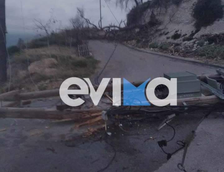 Χωρίς ρεύμα η δημοτική ενότητα Ελυμνίων στη Λίμνη Εύβοιας λόγω πτώσης πεύκου
