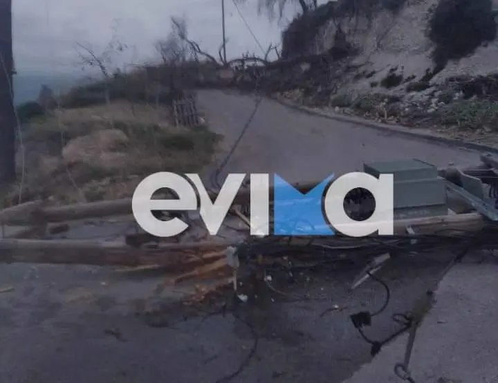 Χωρίς ρεύμα η δημοτική ενότητα Ελυμνίων στη Λίμνη Εύβοιας λόγω πτώσης πεύκου