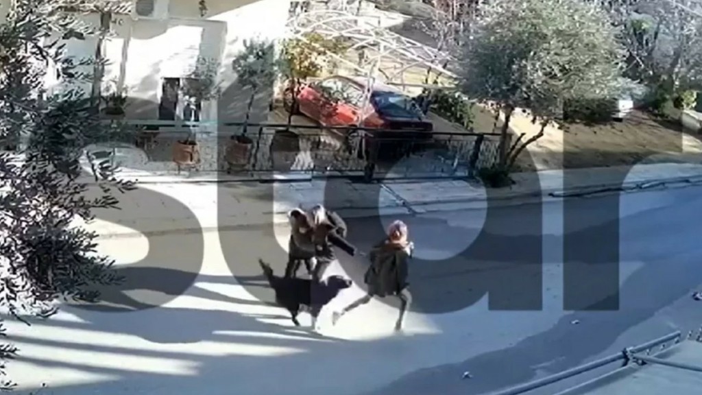 Καματερό: Βίντεο – ντοκουμέντο από την επίθεση που δέχθηκε 9χρονος από σκύλο