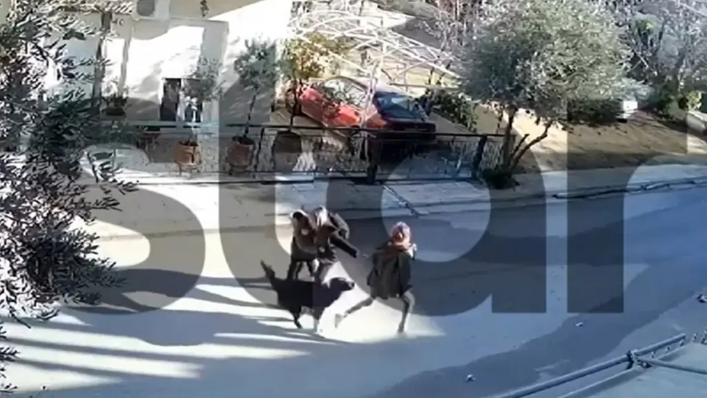Καματερό: Βίντεο – ντοκουμέντο από την επίθεση που δέχθηκε 9χρονος από σκύλο