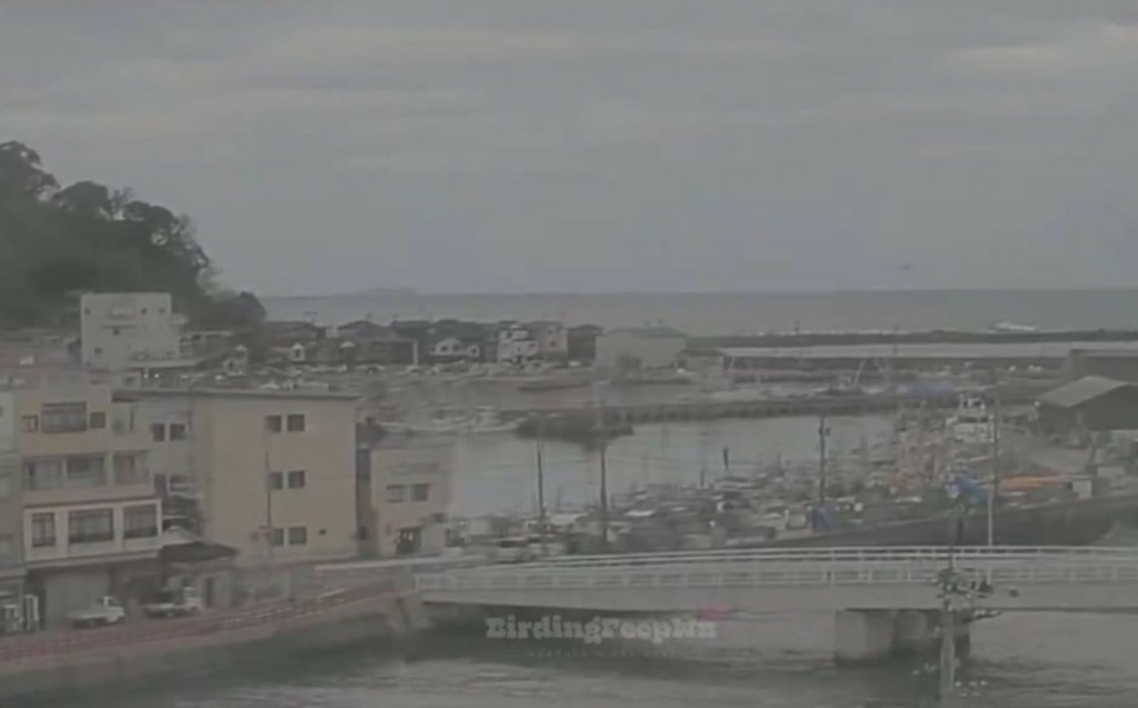 Συγκλονιστικές εικόνες από τον σεισμό των 7,6 Ρίχτερ στην Ιαπωνία – Προειδοποίηση μέχρι και στη Ρωσία για τσουνάμι
