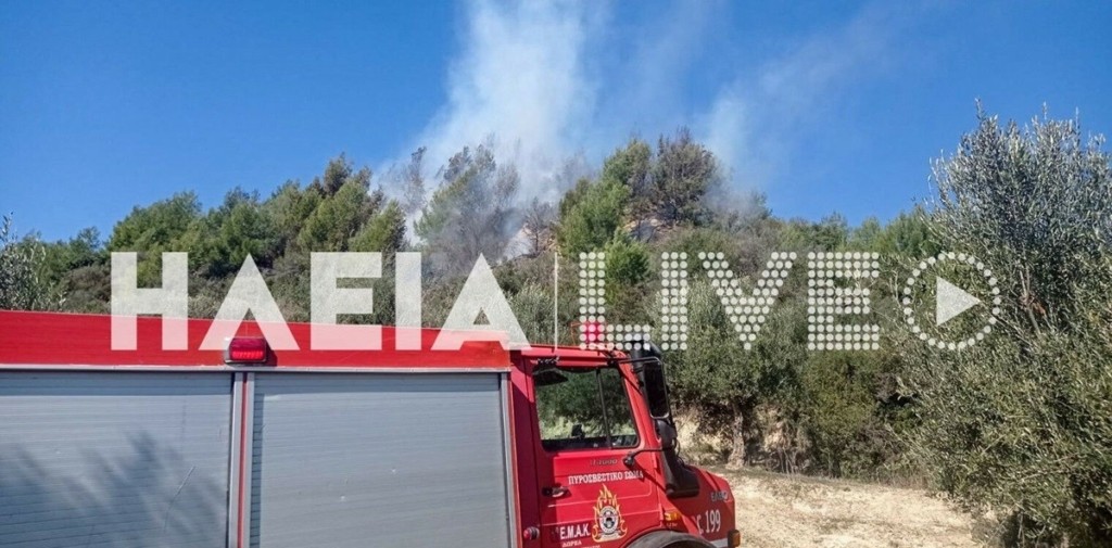 Φωτιά σε δάσος στην Καλίδονα Ηλείας – Συνελήφθη μια γυναίκα