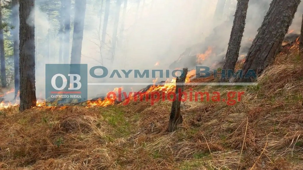 Μεγάλη φωτιά στην περιοχή της Δ.Ε. Πιεριών στη Θέση Σαρακατσάνα -Σηκώθηκε αεροσκάφος