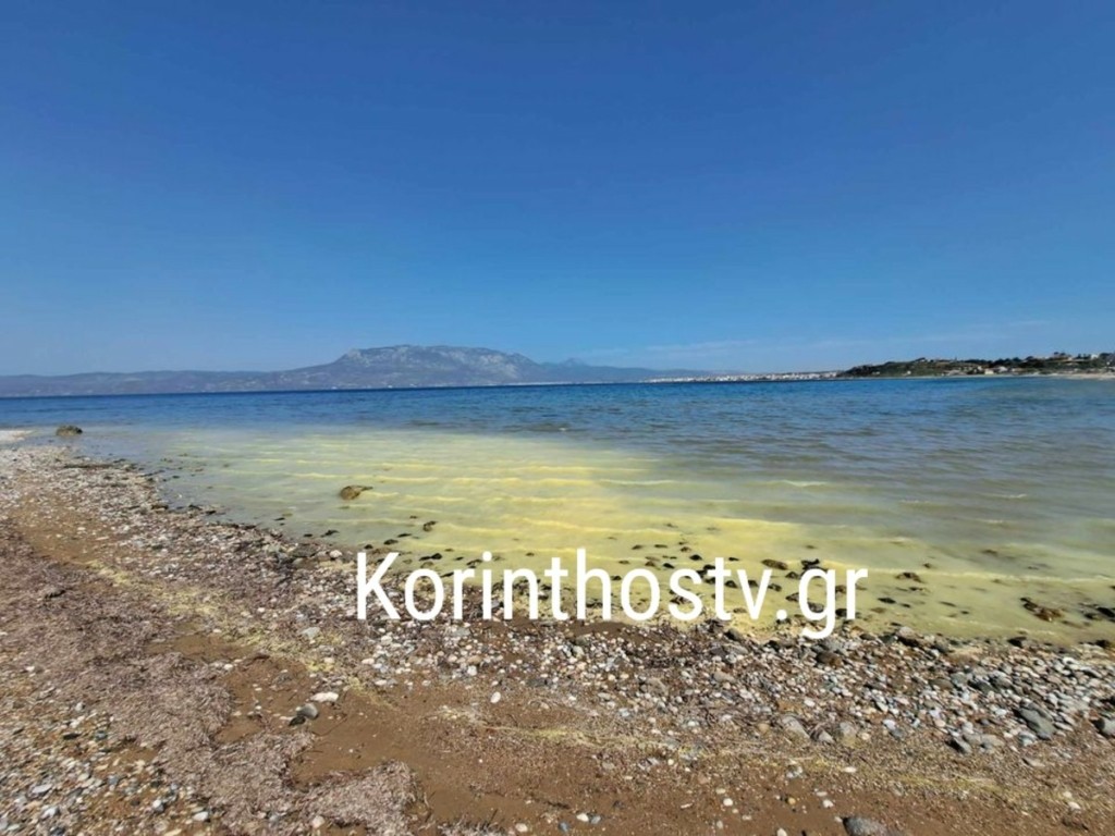 Κόρινθος: Γιατί κιτρίνισε η θάλασσα στο Αρχαίο Λιμάνι Λεχαίου