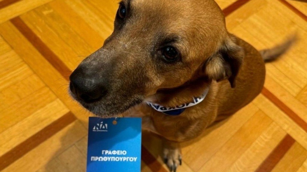 Ο Πίνατ… συμμετέχει στο 15ο Συνέδριο της Νέας Δημοκρατίας (φωτογραφίες)