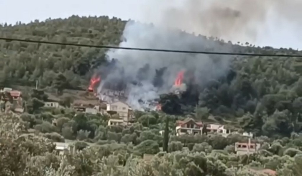 Συναγερμός στην Πυροσβεστική: Φωτιά σε δασική έκταση στα Σπάτα -Σηκώθηκαν εναέρια μέσα (vids)