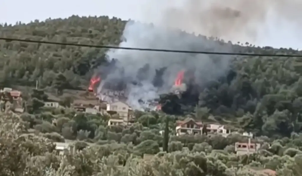 Συναγερμός στην Πυροσβεστική: Φωτιά σε δασική έκταση στα Σπάτα -Σηκώθηκαν εναέρια μέσα (vids)