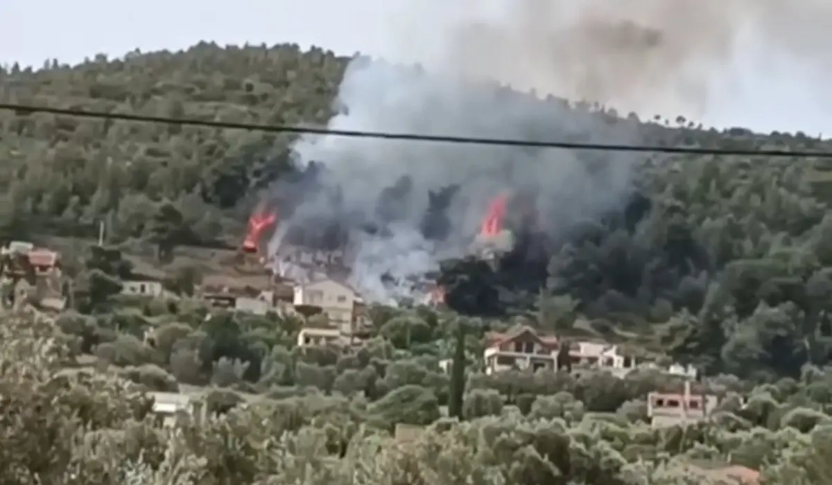 Συναγερμός στην Πυροσβεστική: Φωτιά σε δασική έκταση στα Σπάτα -Σηκώθηκαν εναέρια μέσα (vids)