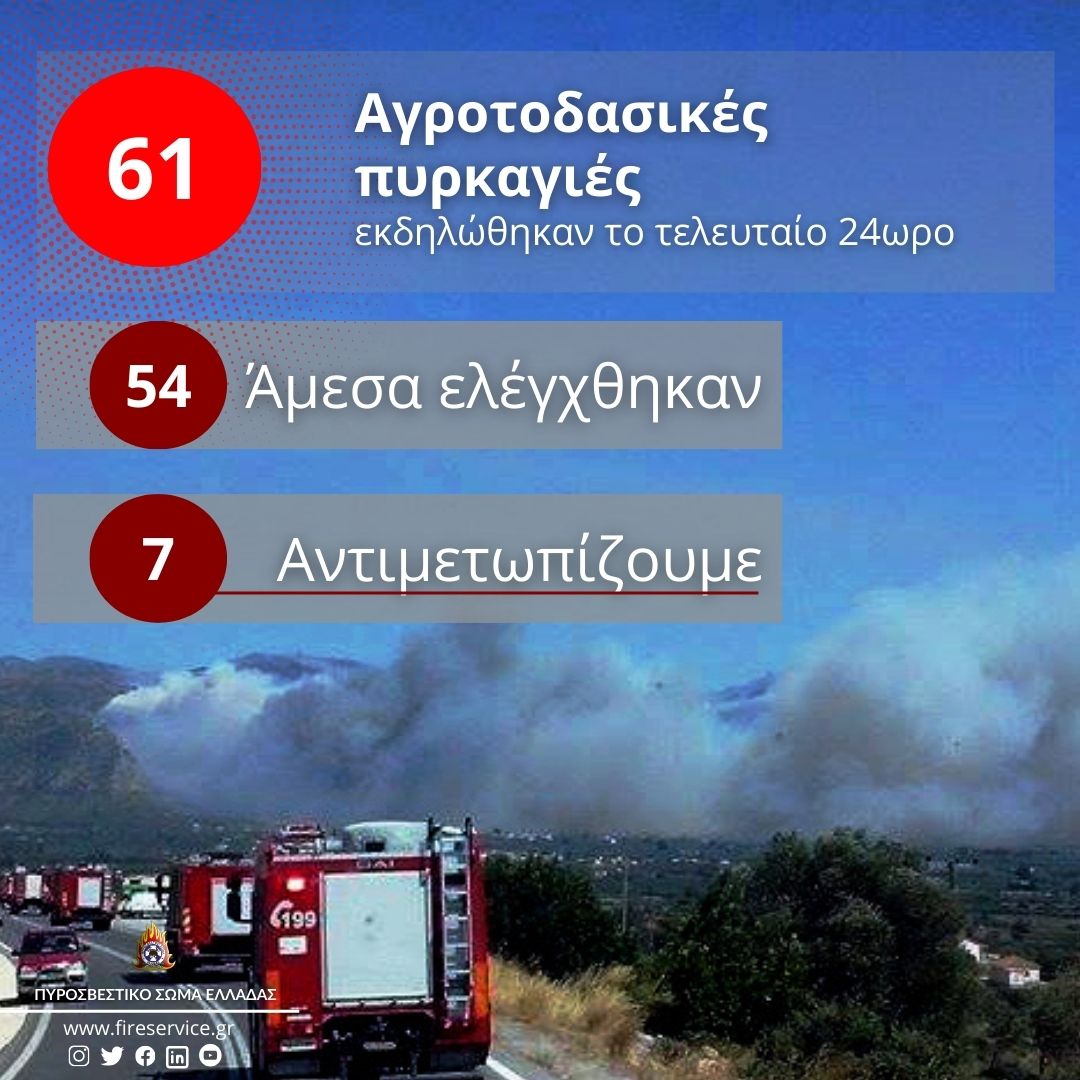 δασικές πυρκαγιές