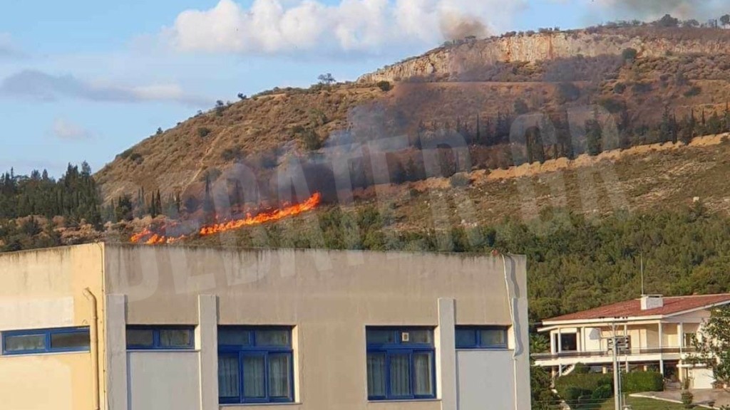 Υπό έλεγχο η φωτιά στο Άλσος Βεΐκου