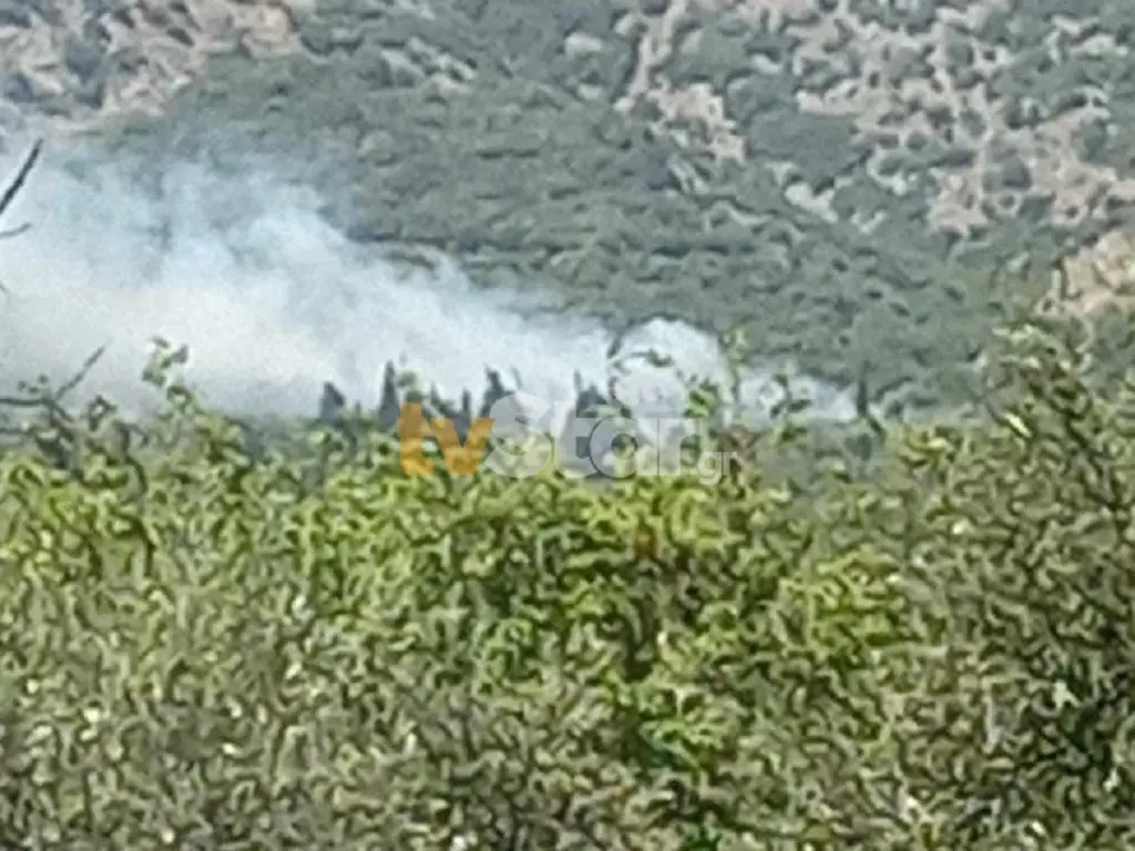 Βοιωτία: Συνελήφθη 73χρονος για εμπρησμό από πρόθεση – Έβαλε φωτιά σε δυο εστίες