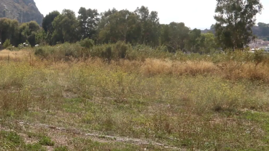 Έως 30 Απριλίου η προθεσμία για τους καθαρισμούς των οικοπέδων – Ποια η διαδικασία για τους ιδιοκτήτες