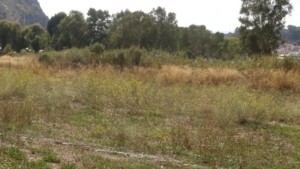 Διδυμότειχο: Αναδασμός 15.000 στρεμμάτων σε οικισμούς