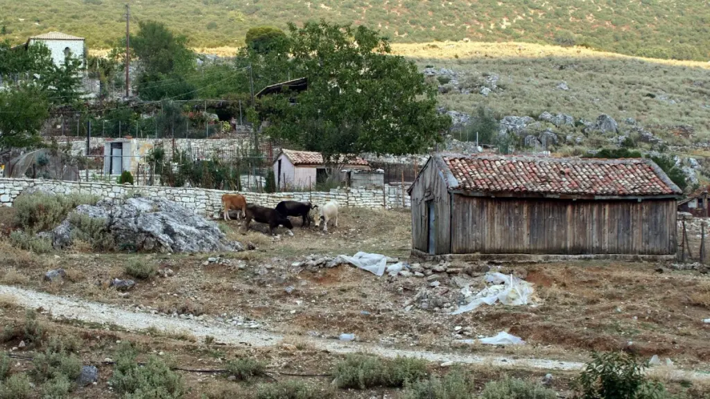 Κιλκίς: Ελεύθερος με όρους για την ανθρωποκτονία ο 54χρονος κτηνοτρόφος – Στη φυλακή ο 38χρονος για την απόπειρα ληστείας