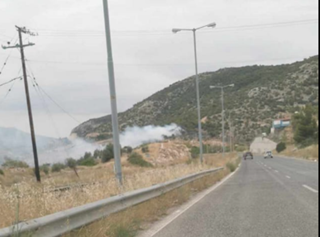 Υπό μερικό έλεγχο η φωτιά στην Περιφερειακή του Αιγάλεω