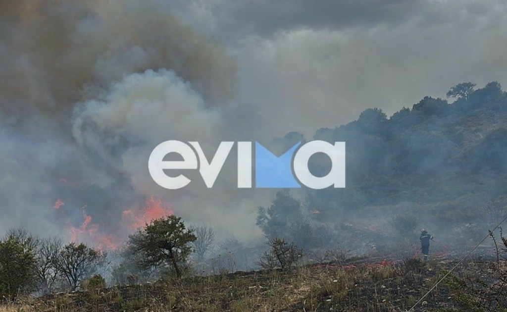 Χωρίς ενεργό μέτωπο η πυρκαγιά στην Εύβοια – 6 εναέρια στη “μάχη” με τις φλόγες