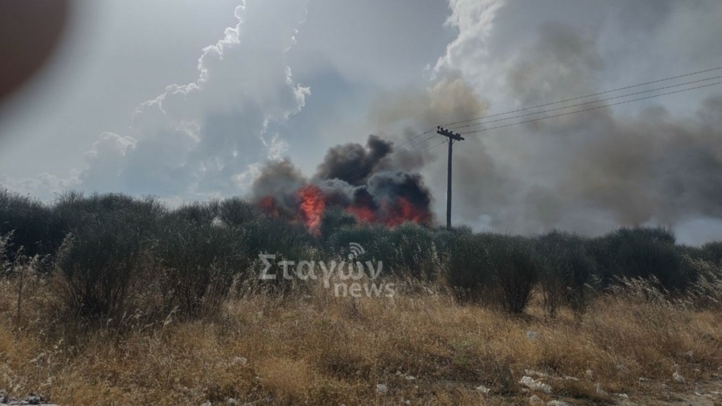 Φωτιά στο Ορθοβούνι Καλαμπάκας: Μάχη με τις φλόγες οι πυροσβέστες – Ήχησε το 112