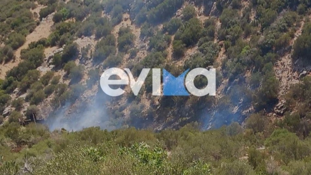 Φωτιά σε δασική έκταση στην Εύβοια – Σκαπτικό όχημα έπεσε σε γκρεμό
