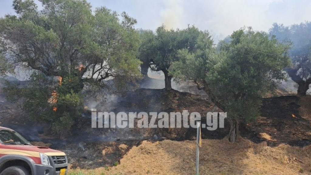 Υπό μερικό έλεγχο η φωτιά στην περιοχή Μπόχαλη Ζακύνθου
