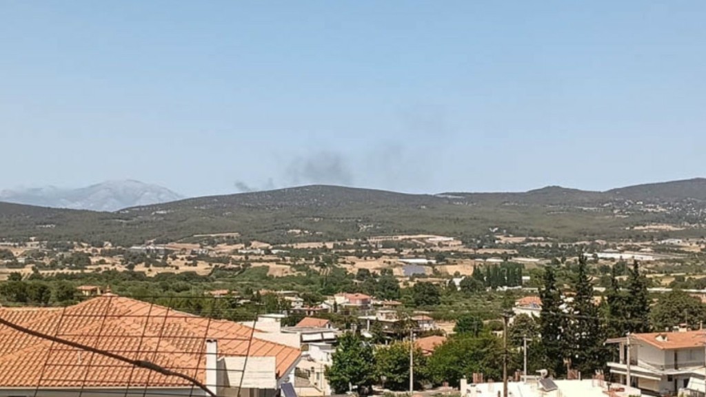 Φωτιά στην Σκάλα Ωρωπού