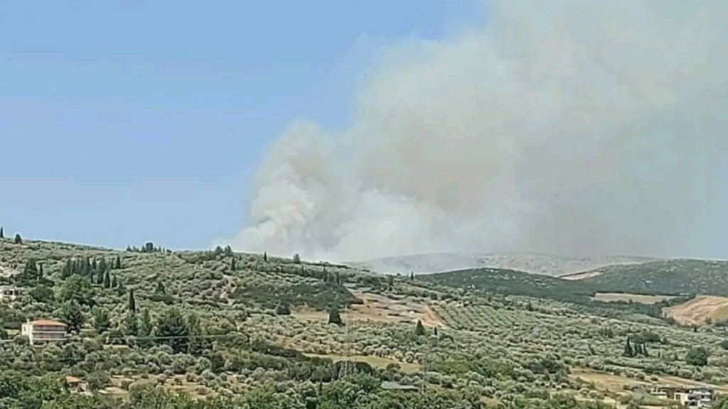 Φωτιά σε χαμηλή βλάστηση στο Ακόντιο Λιβαδειάς