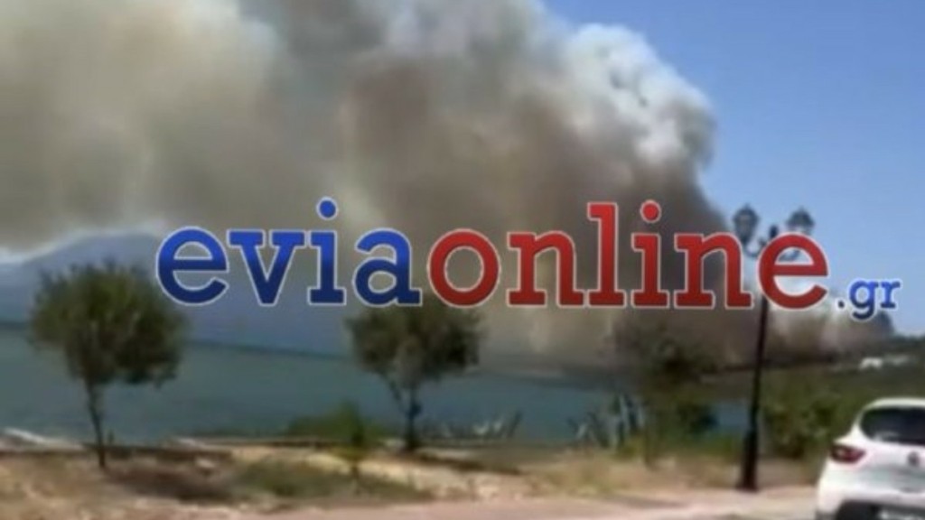 Οριοθετήθηκε η πυρκαγιά στη Νέα Αρτάκη Εύβοιας