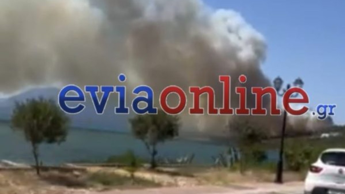 Οριοθετήθηκε η πυρκαγιά στη Νέα Αρτάκη Εύβοιας