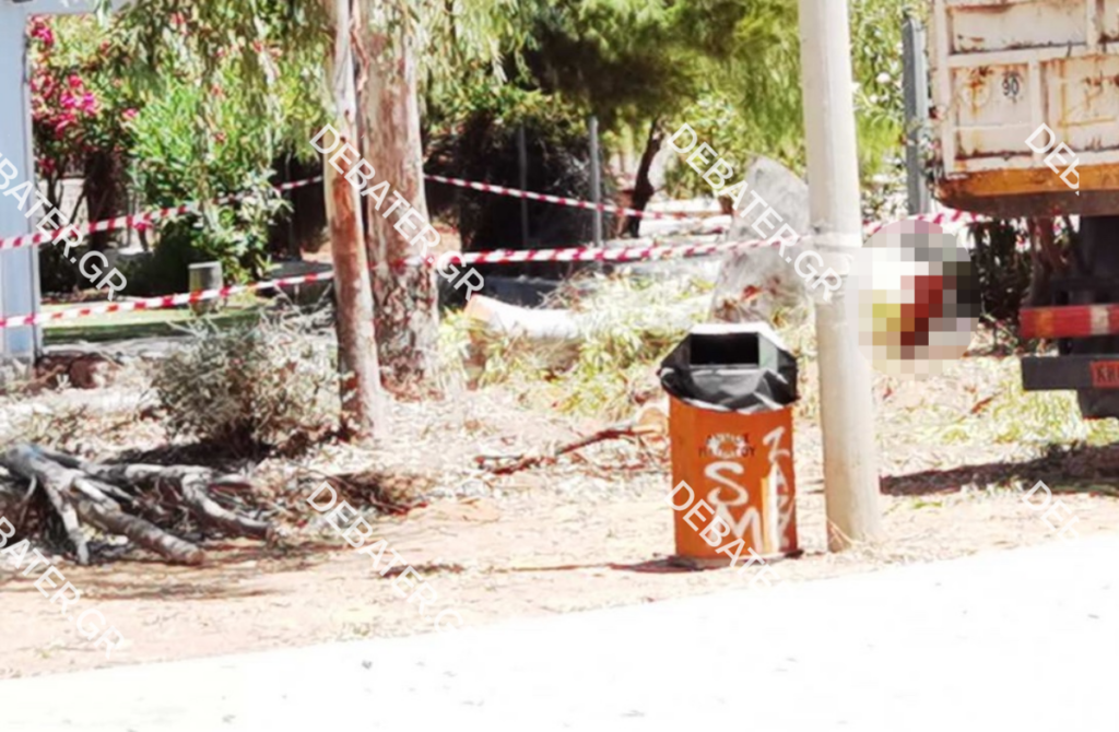 Παπάγου: Συνάδελφος του 47χρονου που καταπλακώθηκε από δέντρο καταγγέλλει έλλειψη μέτρων προστασίας