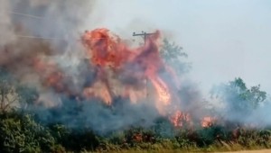 Υψηλός κίνδυνος πυρκαγιάς για αύριο 17/7 – Ποιες περιοχές βρίσκονται σε επιφυλακή – Δείτε τον χάρτη