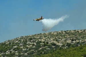 Φωτιά σε δασική έκταση στη Χλόη Ροδόπης – Ήχησε το 112 για εκκένωση οικισμού