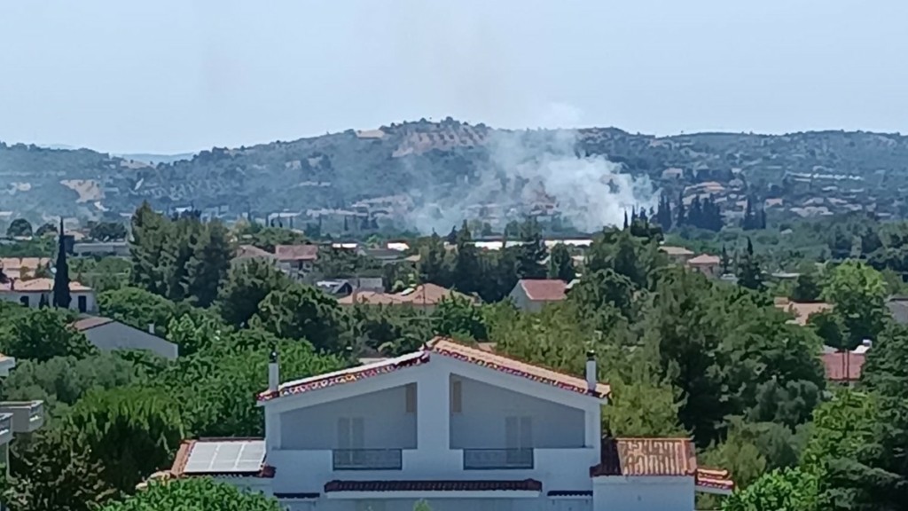Υπό έλεγχο η φωτιά στην Σκάλα Ωρωπού