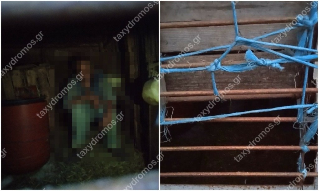 Πήλιο: Είχαν κλειδώσει άτομο με νοητική υστέρηση σε μαντρί – Φώναζε βοήθεια