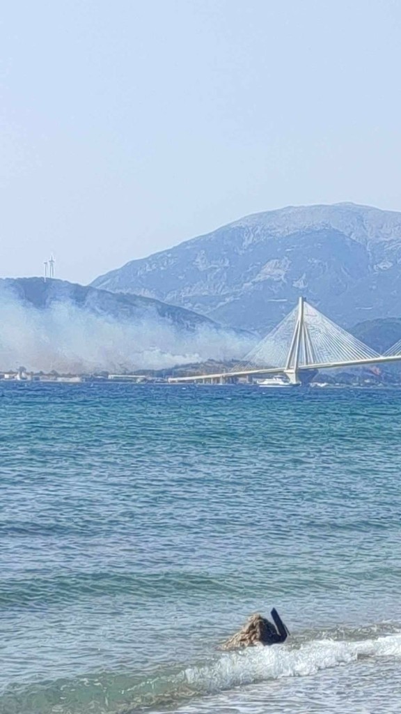 Πυροσβεστική: 55 πυρκαγιές το τελευταίο 24ωρο σε όλη τη χώρα