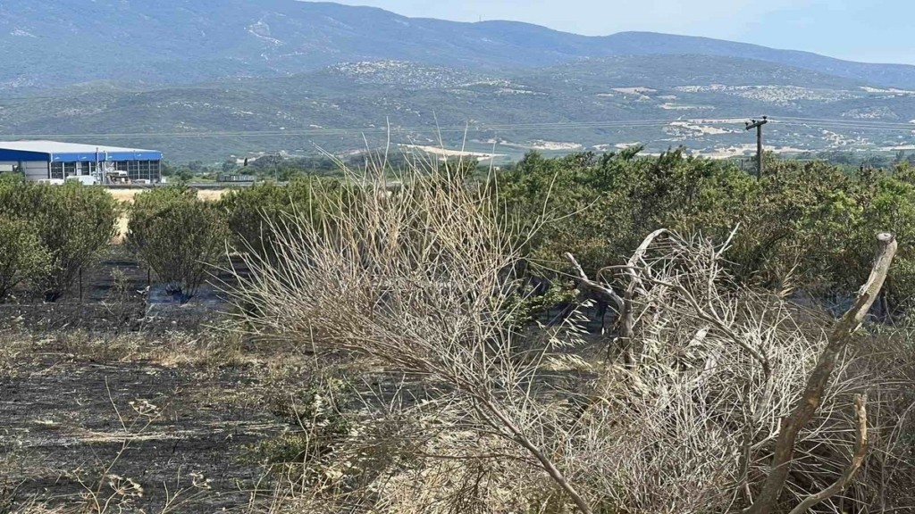 Φωτιά τώρα στον δρόμο Λάρισας – Αγιάς – Στο σημείο η πυροσβεστική (pics)